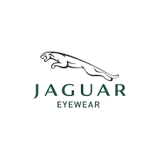 Jaguar-slooten-Dokkum